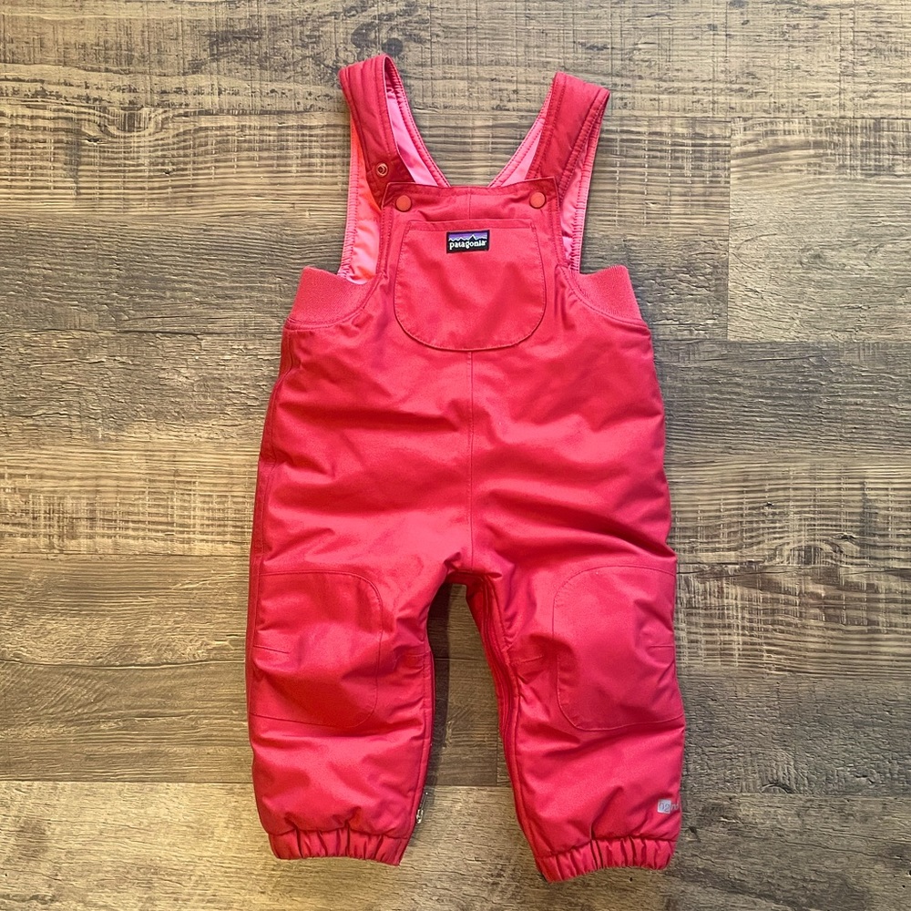 Patagonia H2No SnowBibs